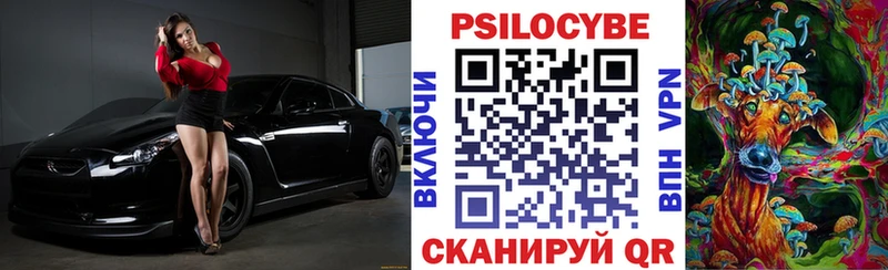 хочу   Калач  Псилоцибиновые грибы Psilocybe 