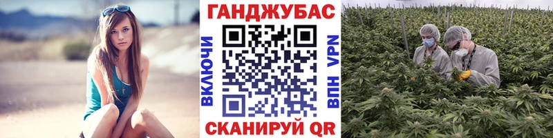 Шишки марихуана семена Калач