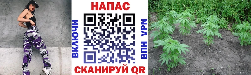 Бошки марихуана White Widow  Калач 